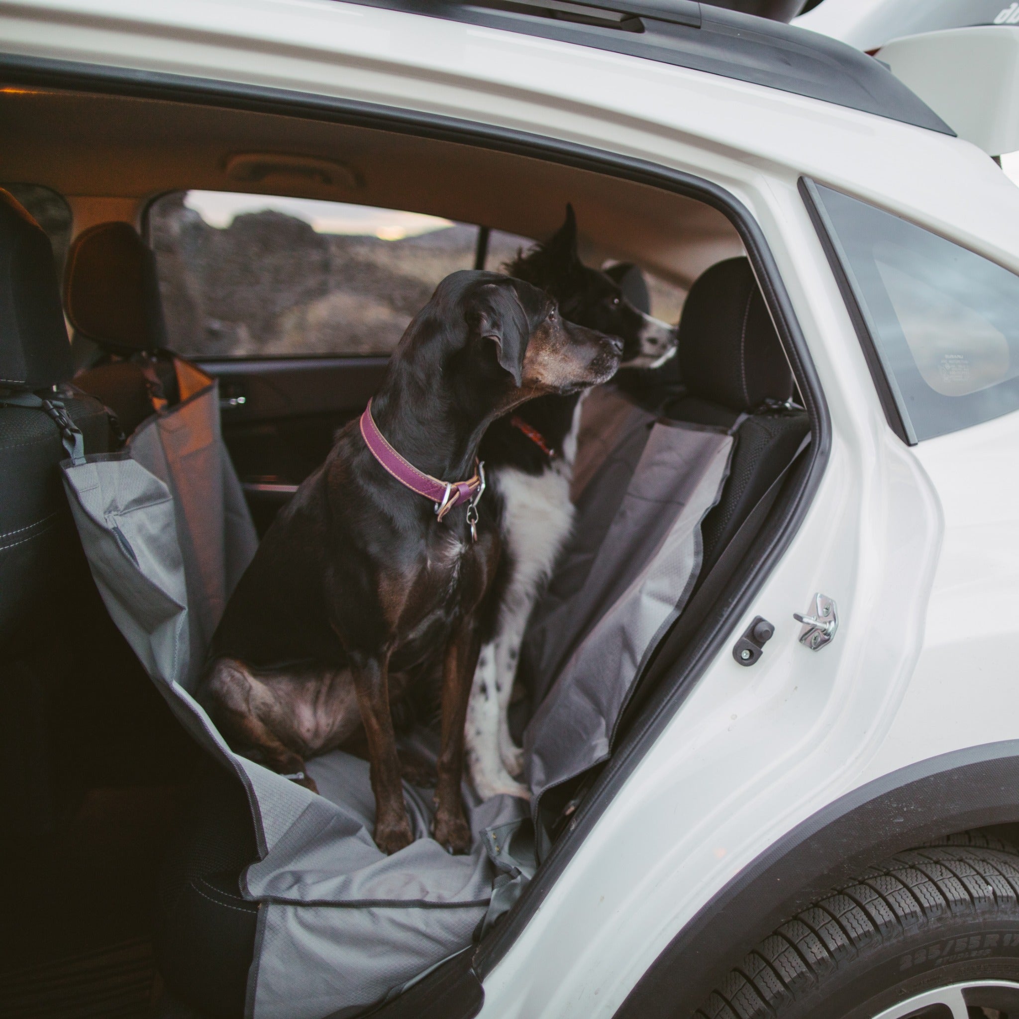 Ruffwear Dirt Bag Seat Cover™ Rücksitz Hunde Autoschondecke - Woofshack