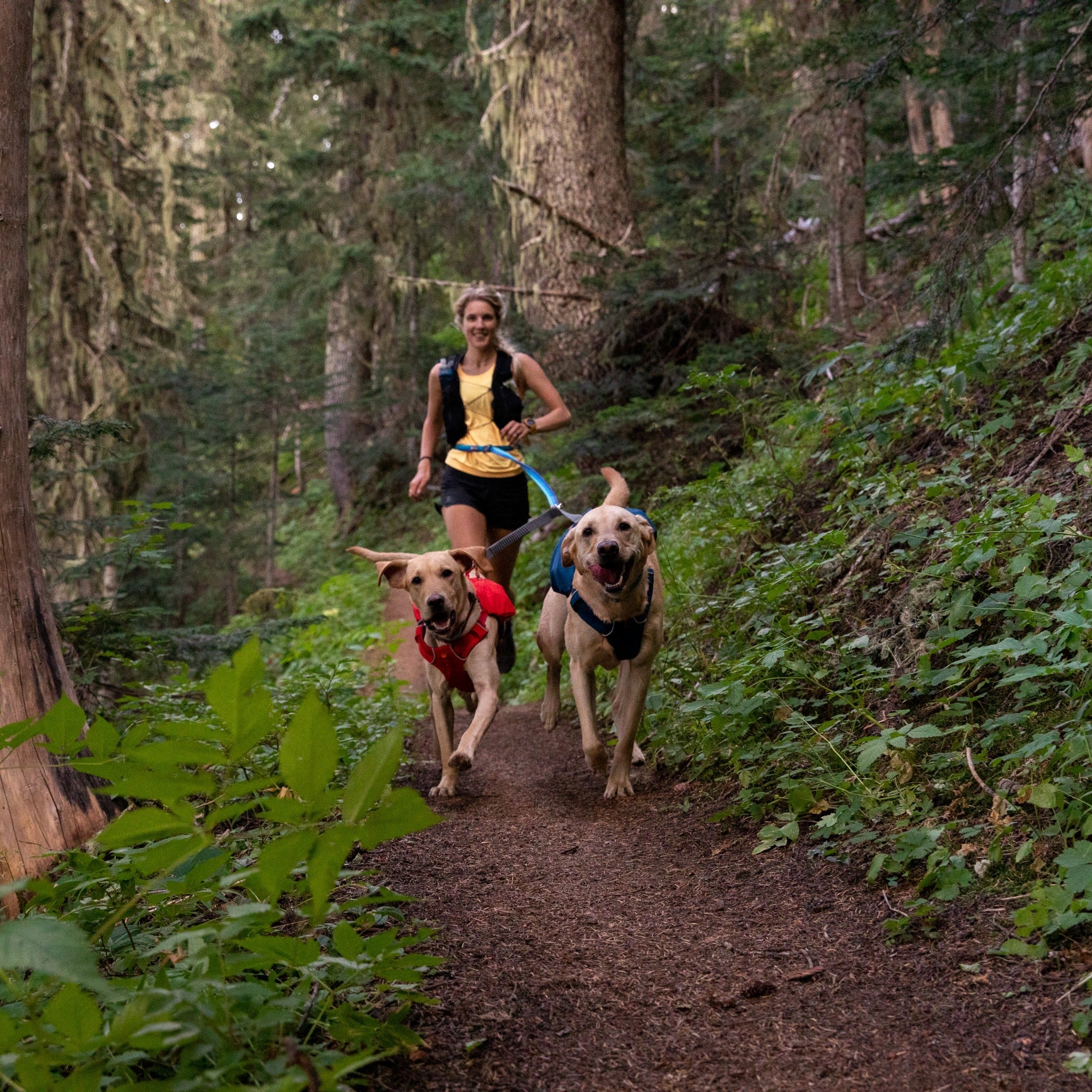 Ruffwear Double Track™ Coupler, Koppelleine für zwei Hunde - Woofshack