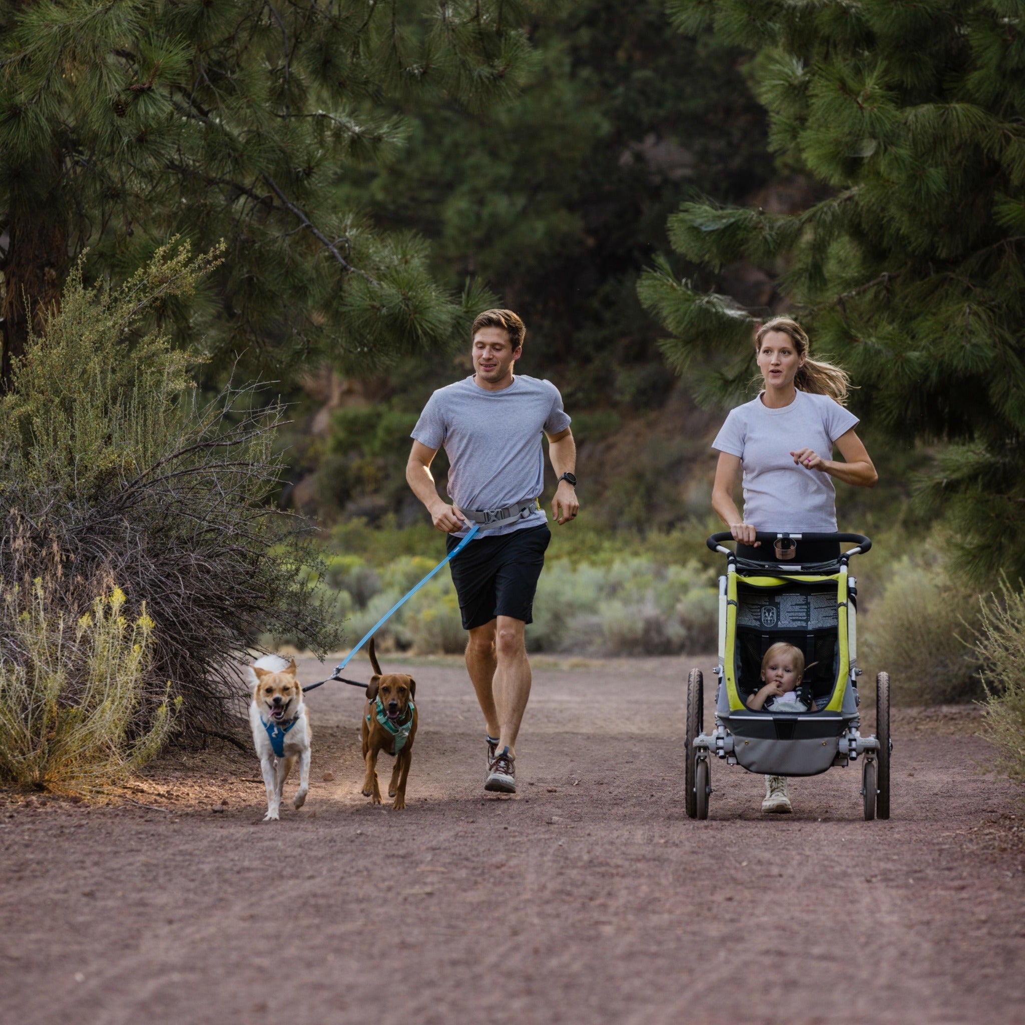 Ruffwear Double Track™ Coupler, Koppelleine für zwei Hunde - Woofshack