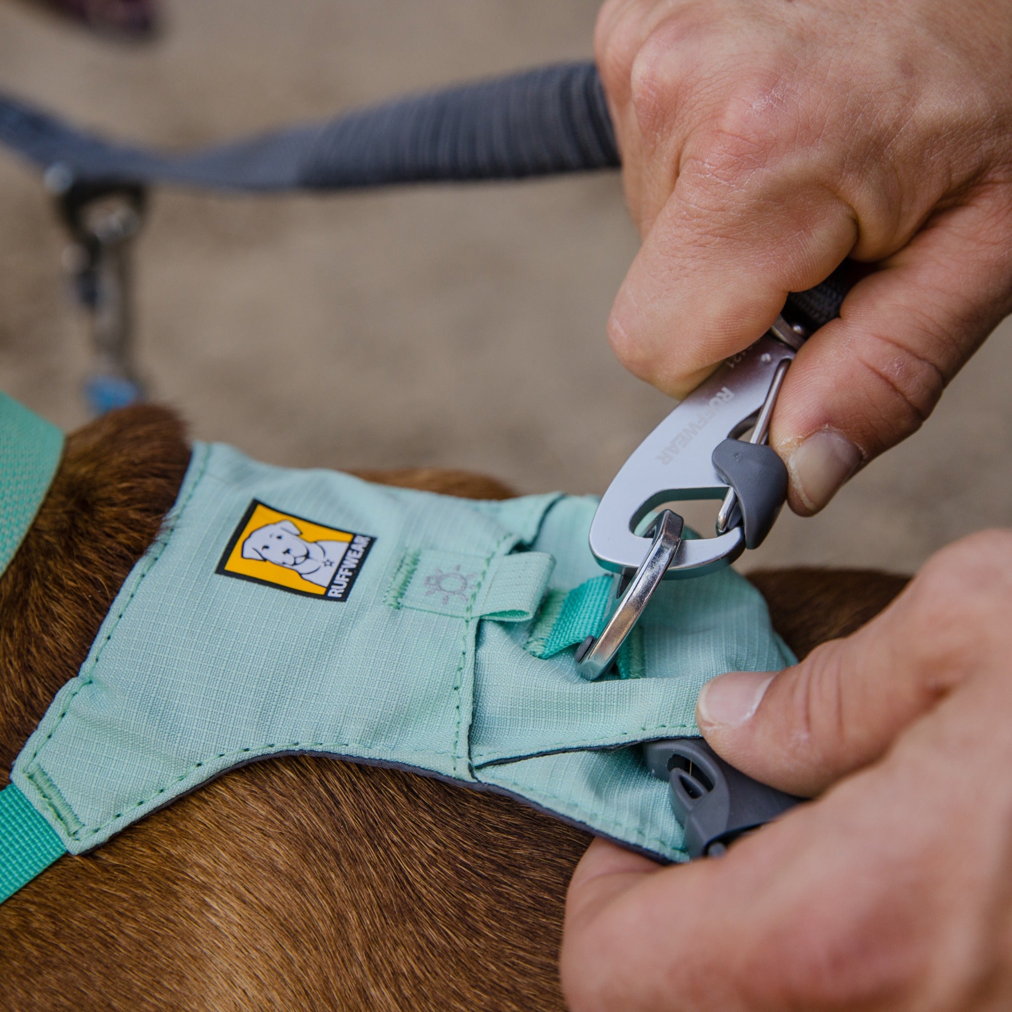 Ruffwear Double Track™ Coupler, Koppelleine für zwei Hunde - Woofshack