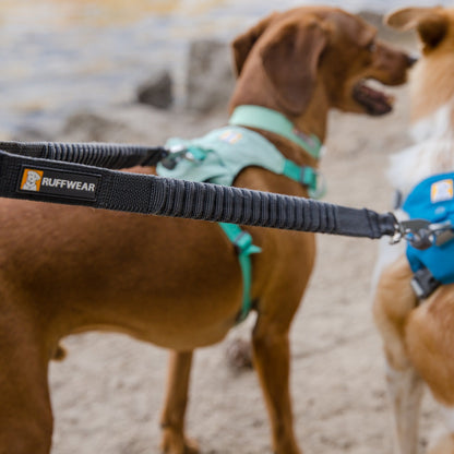 Ruffwear Double Track™ Coupler, Koppelleine für zwei Hunde - Woofshack