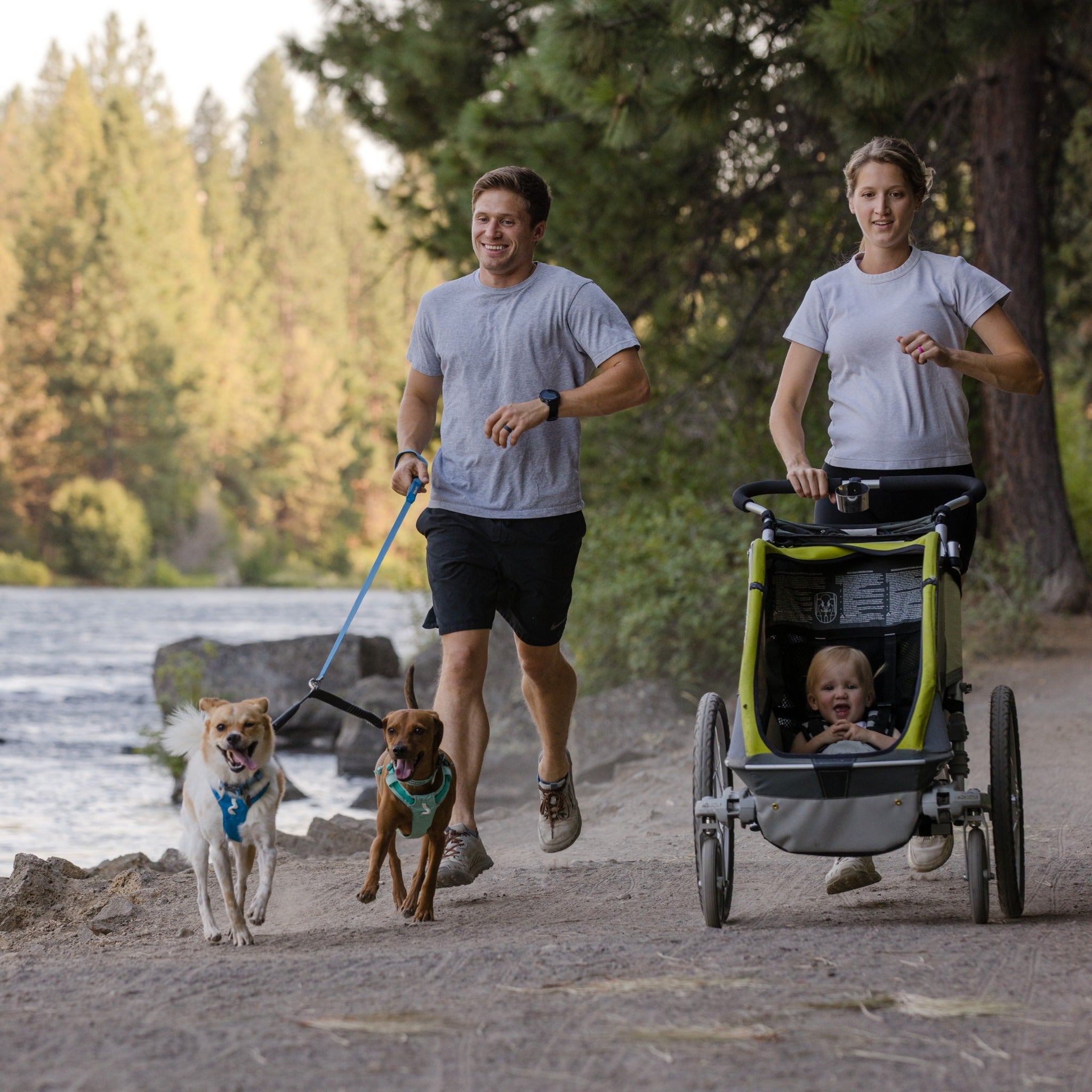 Ruffwear Double Track™ Coupler, Koppelleine für zwei Hunde - Woofshack