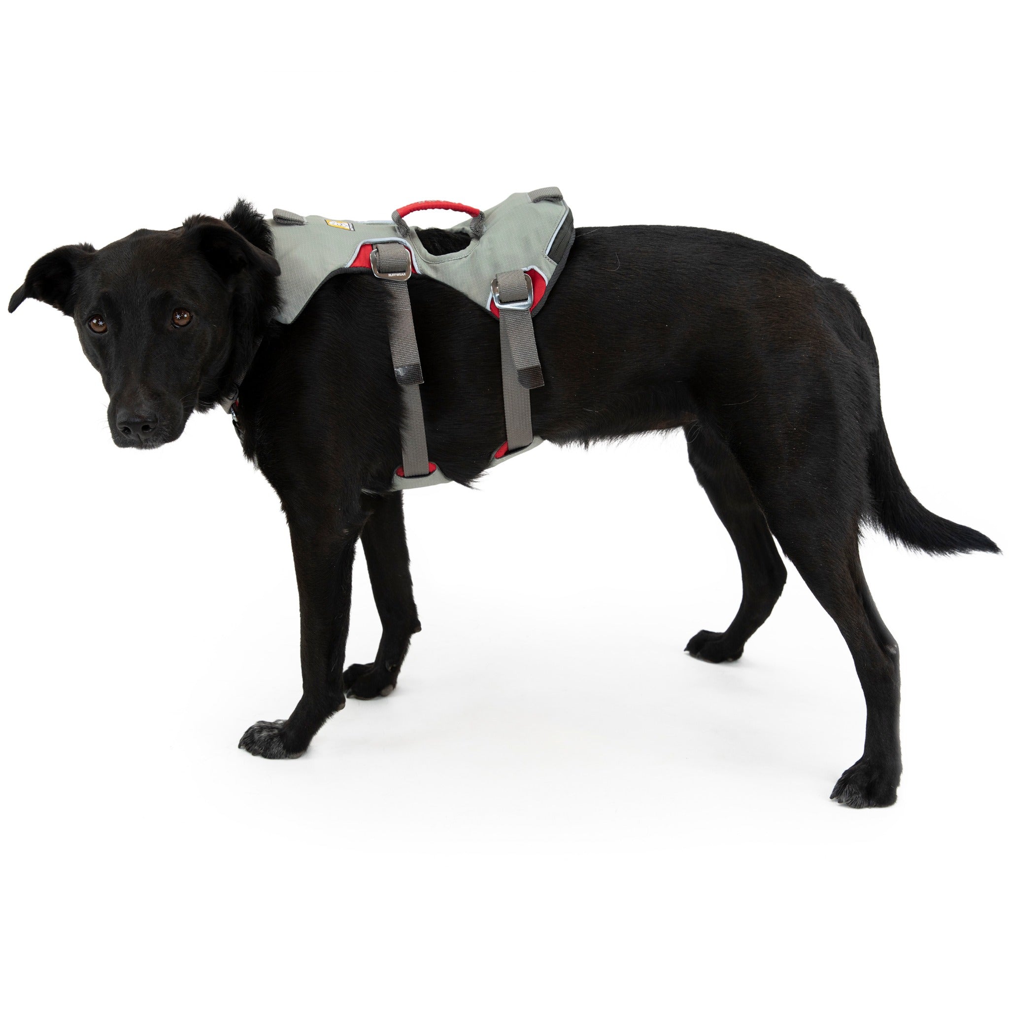 Ruffwear Doubleback™ Harness, Klettergeschirr für Hunde - Woofshack