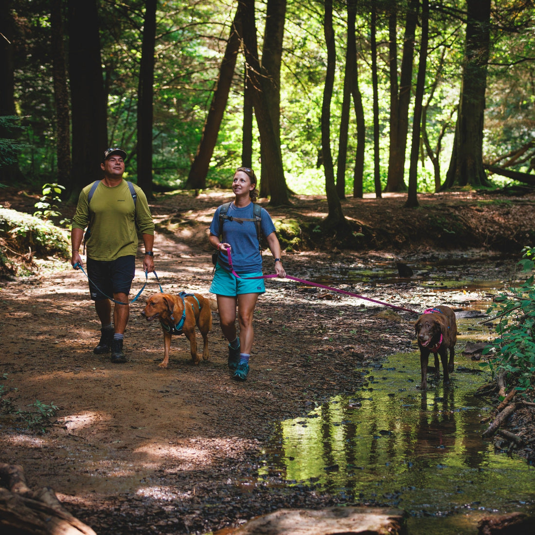 Ruffwear Flagline Leash, Hundeleine - Woofshack