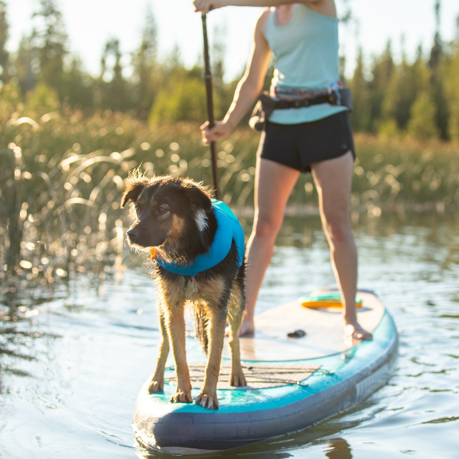 Ruffwear Float Coat™ Hundeschwimmweste - Woofshack