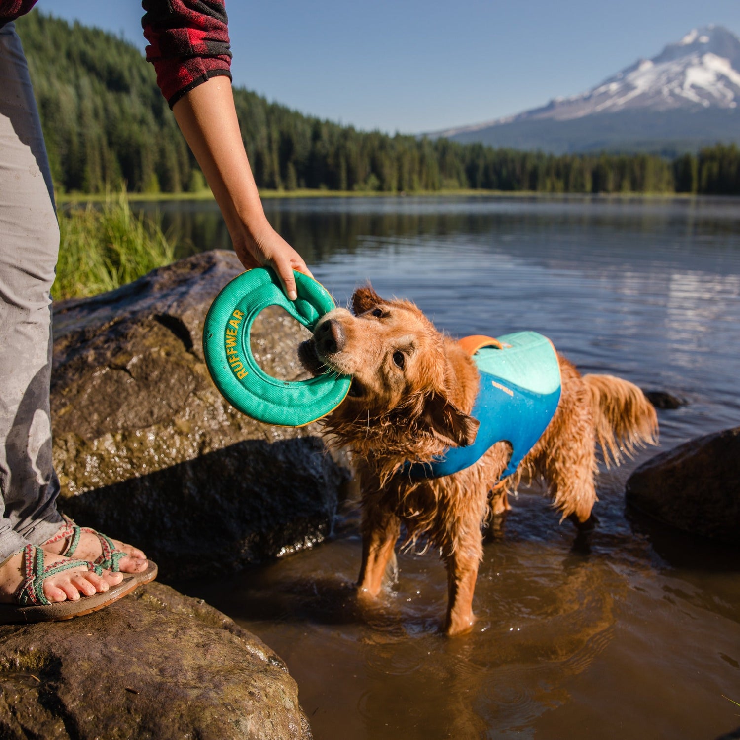 Ruffwear Float Coat™ Hundeschwimmweste - Woofshack