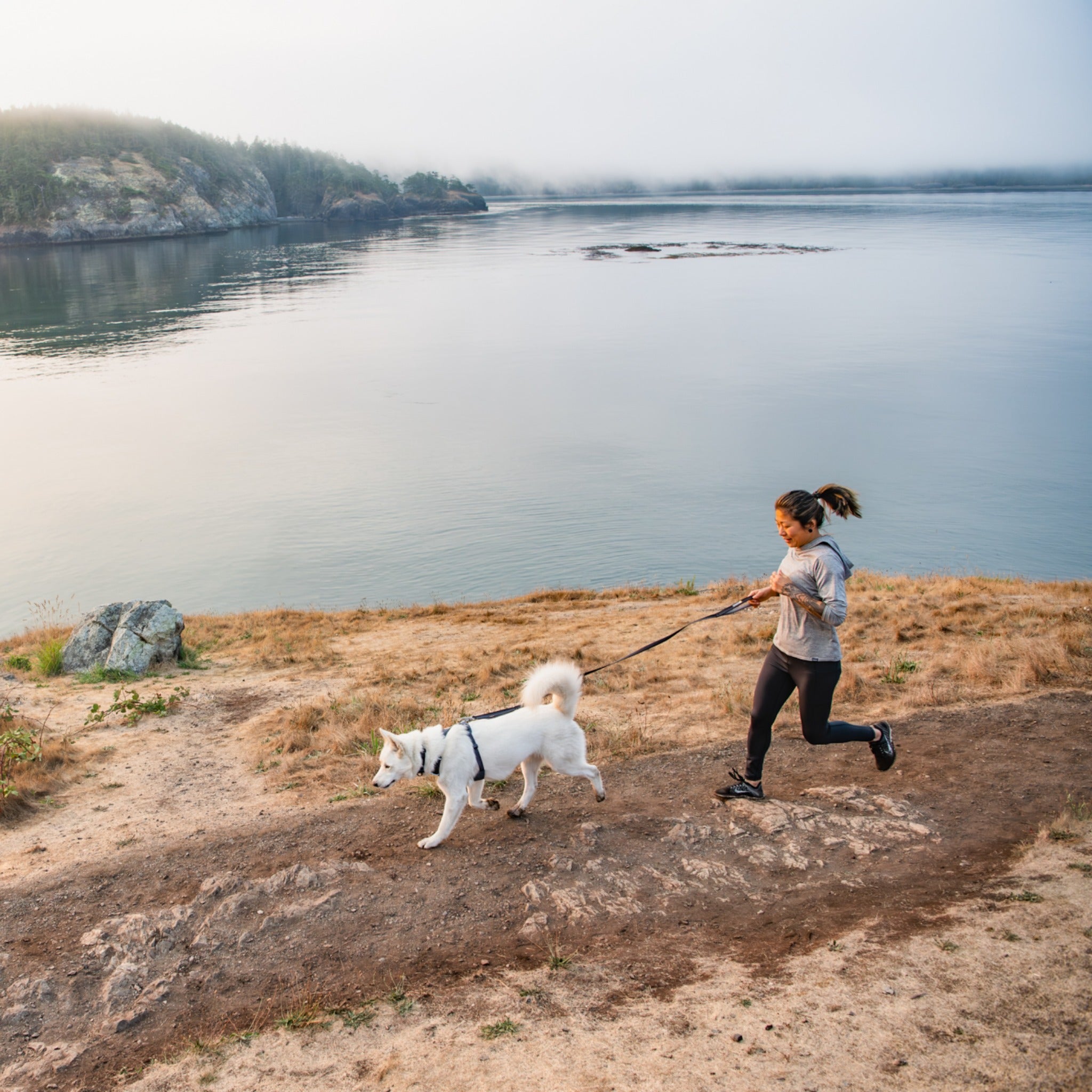 Ruffwear Front Range Leash, Hundeleine - Woofshack