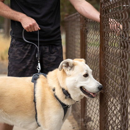 Ruffwear Front Range Short Leash, Kurzleine - Woofshack