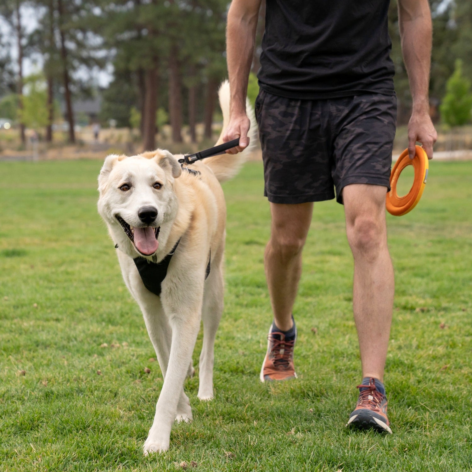 Ruffwear Front Range Short Leash, Kurzleine - Woofshack