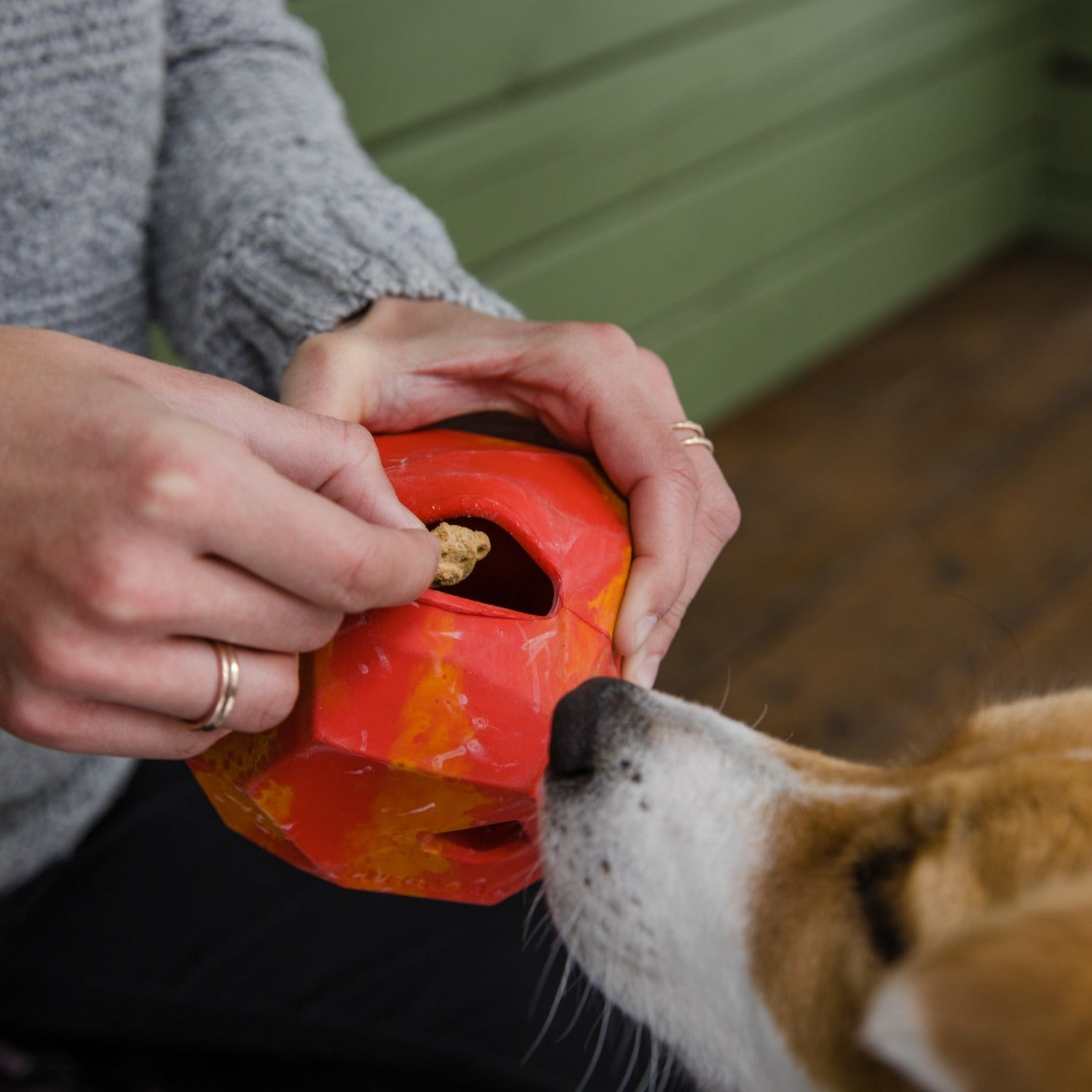 Ruffwear Gnawt-a-Rock™ Hundespielzeug, interaktiv &amp; befüllbar - Woofshack