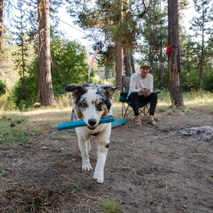 Ruffwear Gnawt-a-Stick™ Wurfspielzeug für Hunde - Woofshack