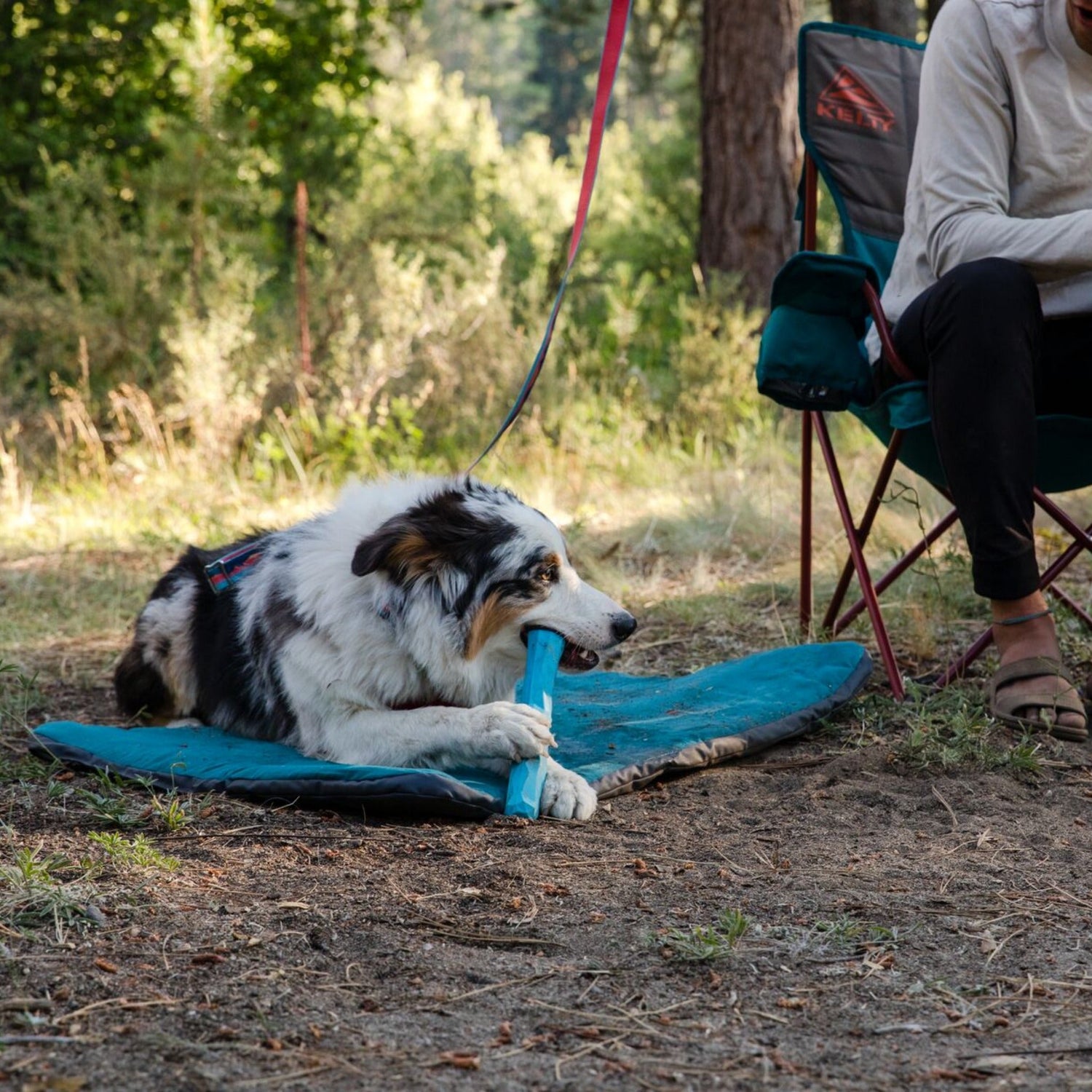 Ruffwear Gnawt-a-Stick™ Wurfspielzeug für Hunde - Woofshack