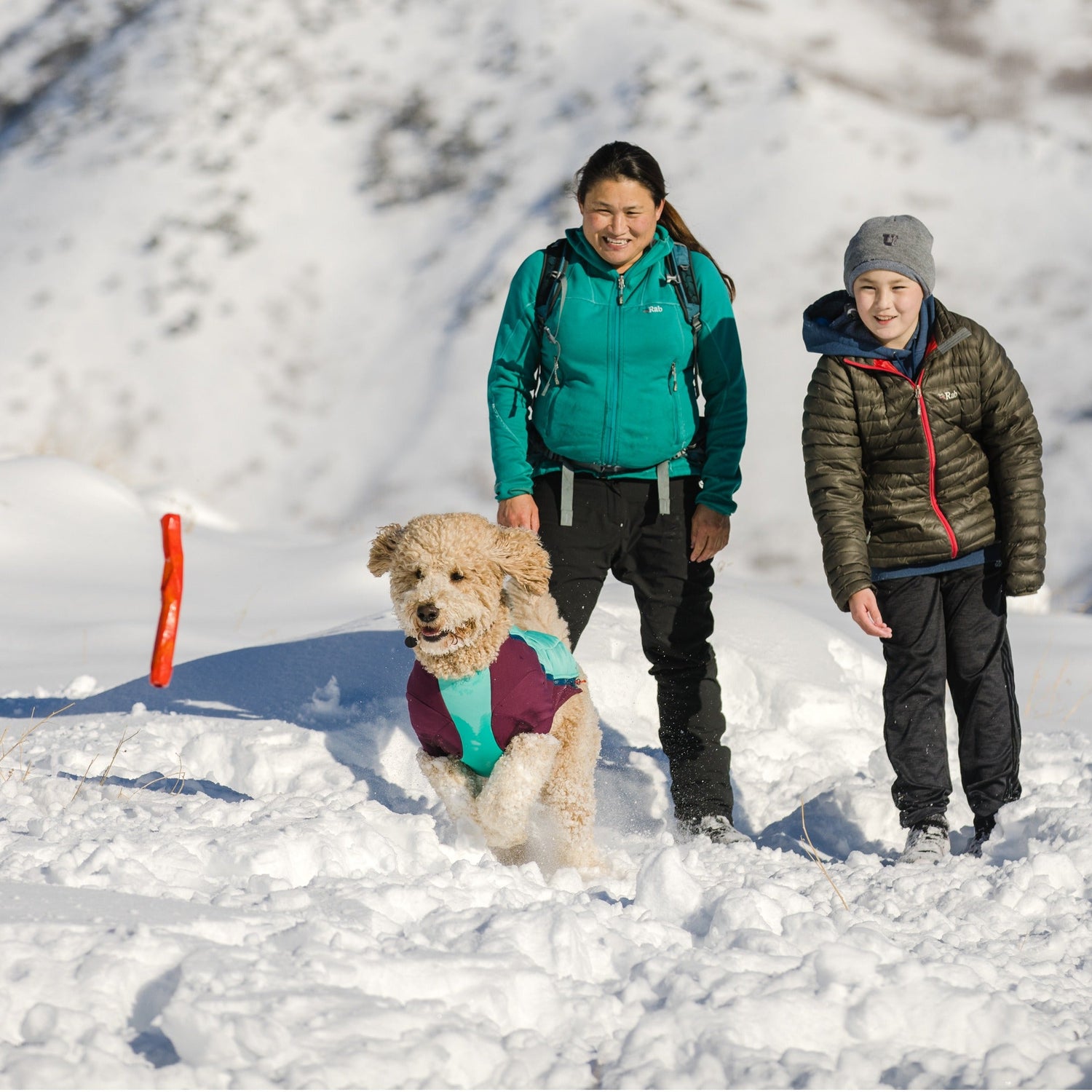 Ruffwear Gnawt-a-Stick™ Wurfspielzeug für Hunde - Woofshack