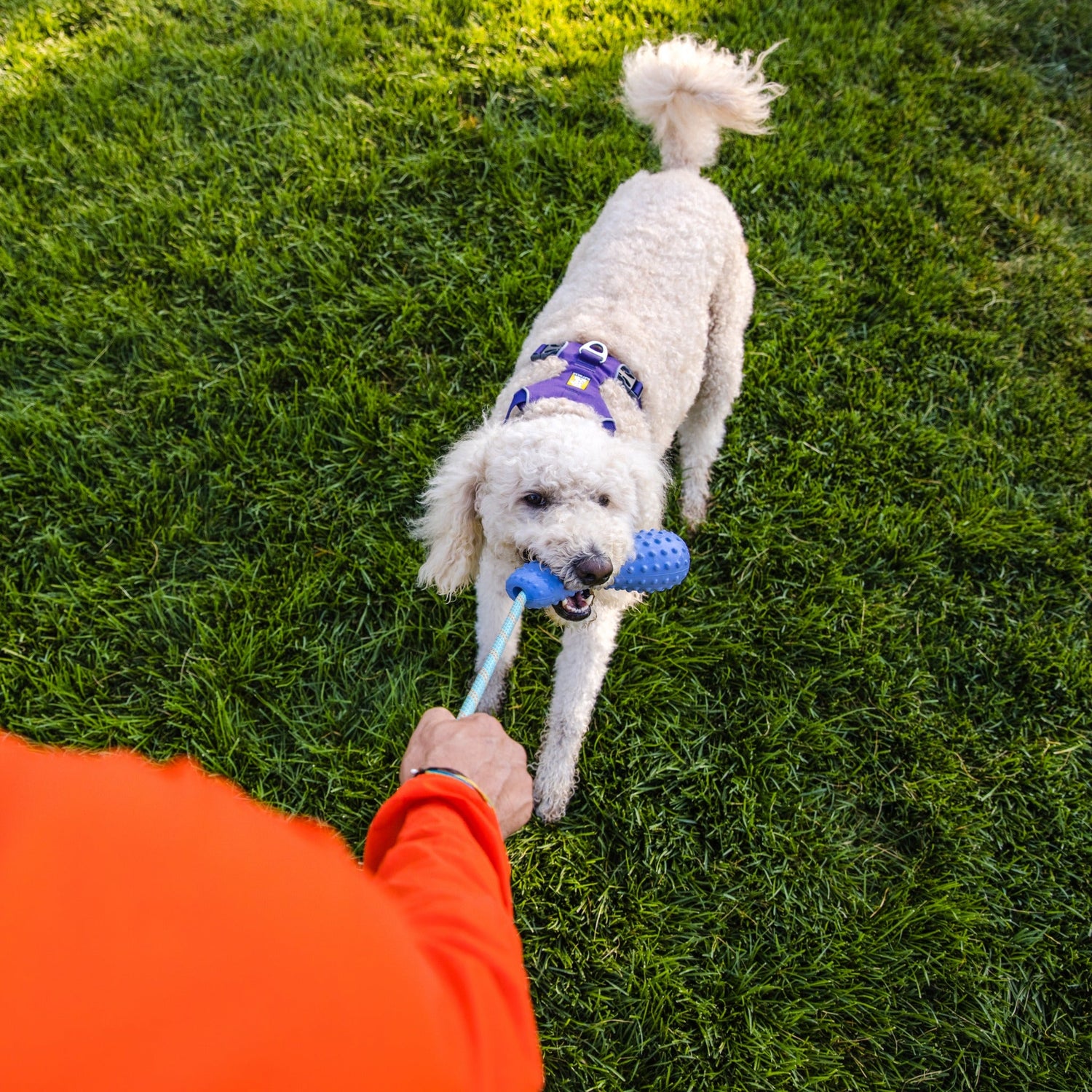 Ruffwear Gourdo™ Wurfspielzeug für Hunde - Woofshack