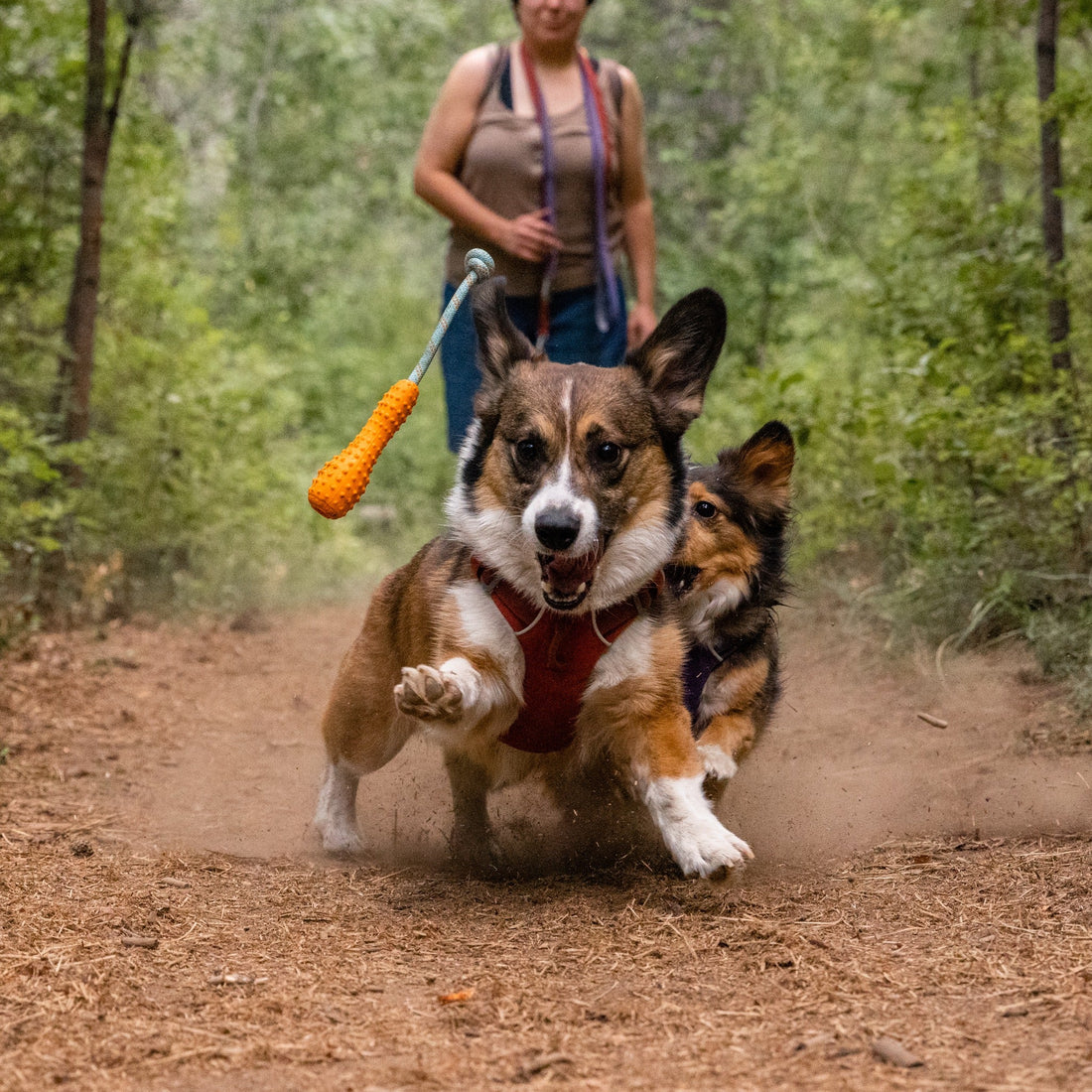 Ruffwear Gourdo™ Wurfspielzeug für Hunde - Woofshack