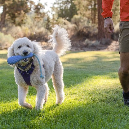 Ruffwear Gourdo™ Wurfspielzeug für Hunde - Woofshack