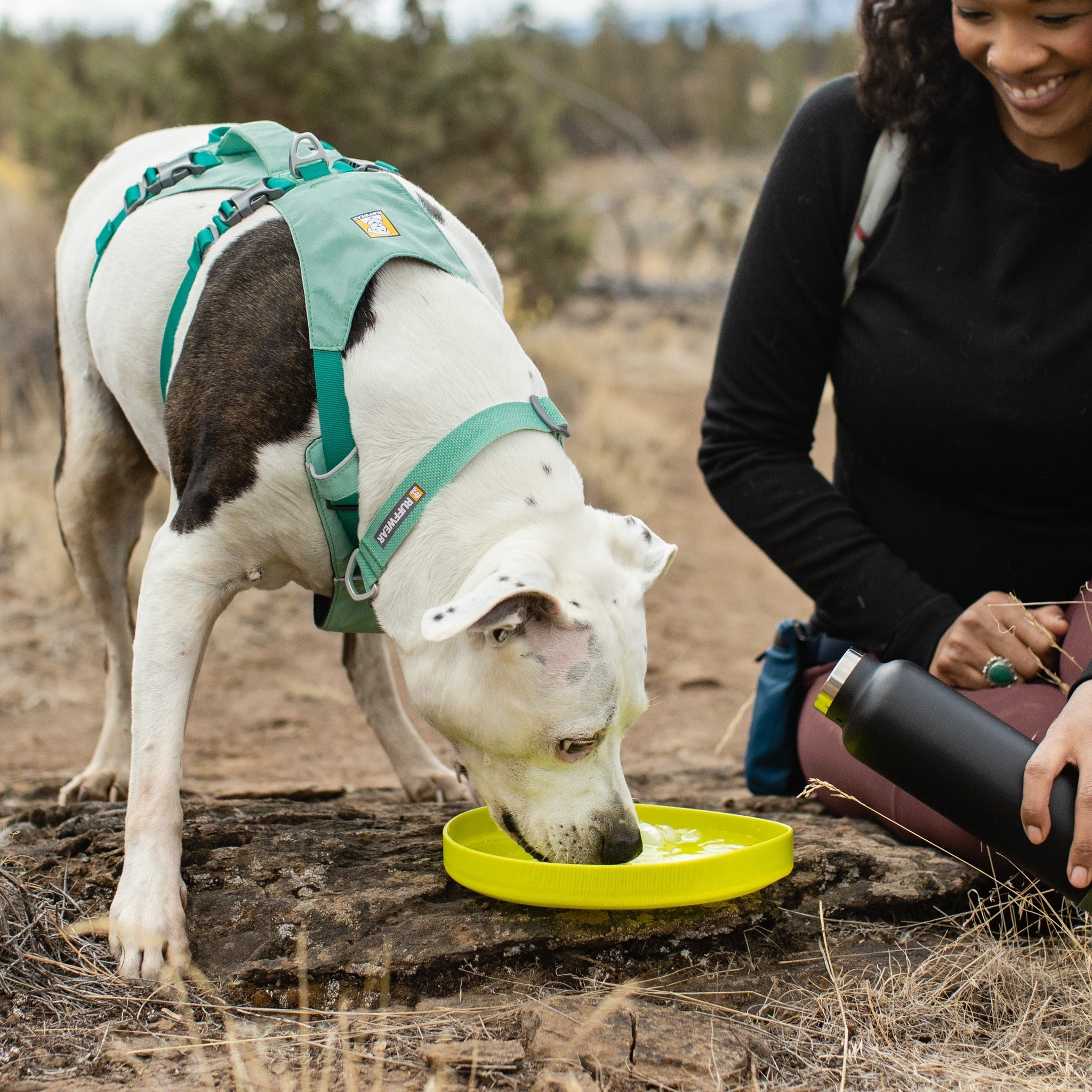Ruffwear Hi &amp; Light Collar, Hundehalsband - Woofshack