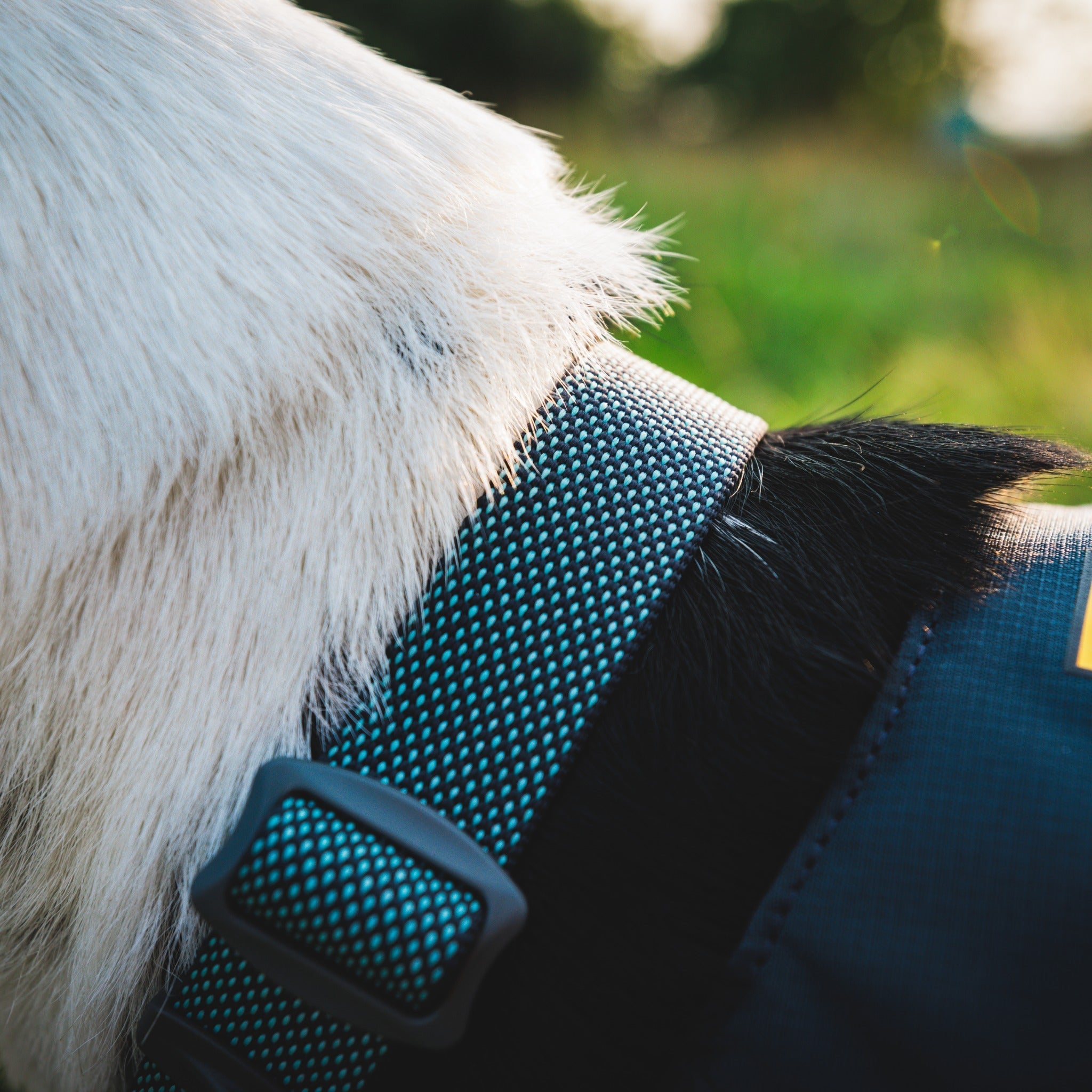 Ruffwear Hi &amp; Light Collar, Hundehalsband - Woofshack