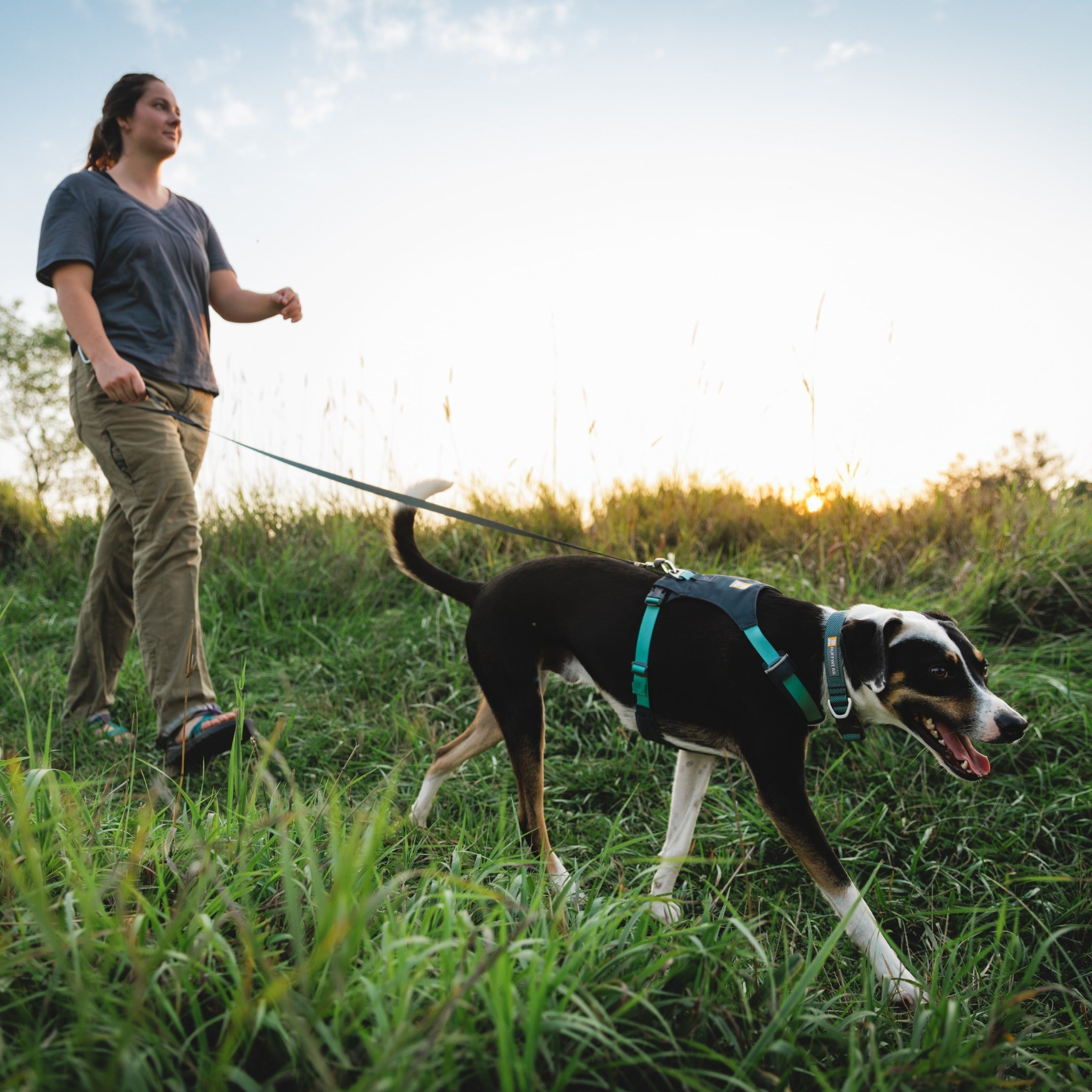 Ruffwear Hi &amp; Light Collar, Hundehalsband - Woofshack