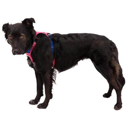Ruffwear Hi &amp; Light Harness, Hundegeschirr - Woofshack