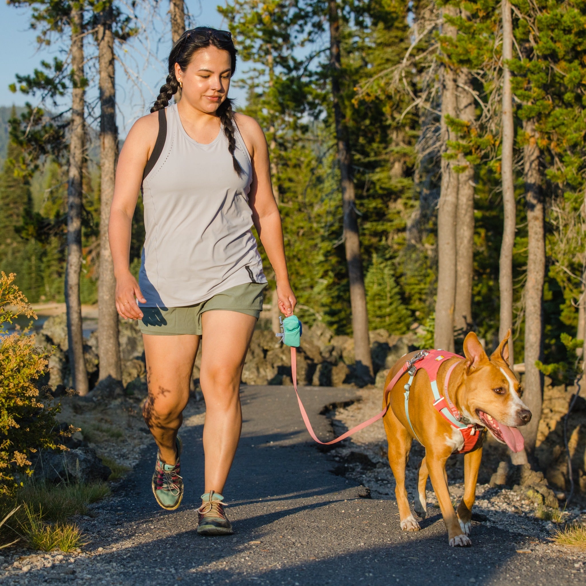 Ruffwear Hi &amp; Light™ Harness, Leichtes Hundegeschirr - Woofshack