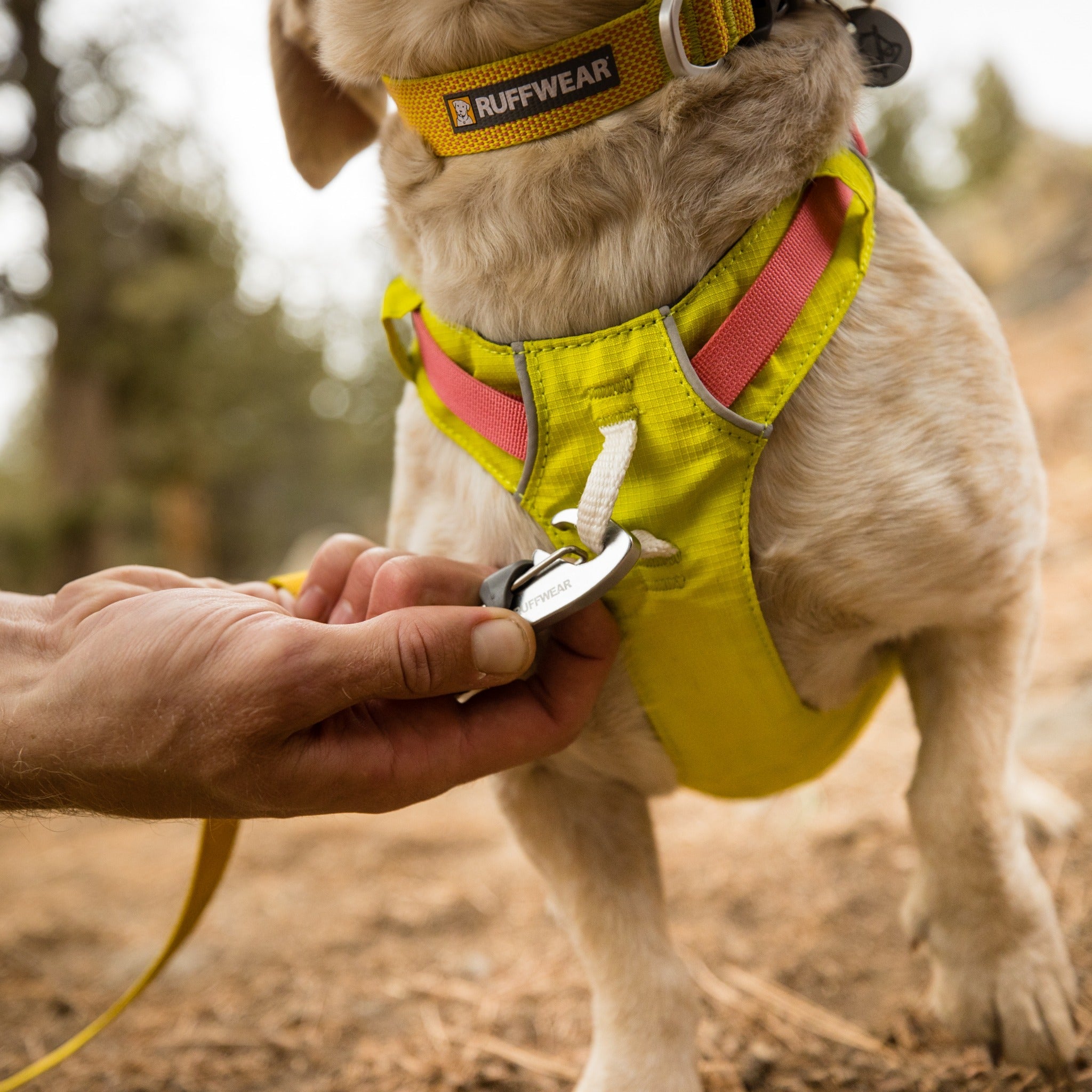 Ruffwear Hi &amp; Light™ Harness, Leichtes Hundegeschirr - Woofshack