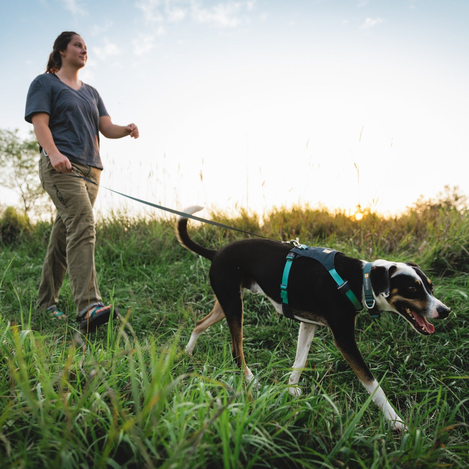 Ruffwear Hi &amp; Light Leash, Hundeleine - Woofshack