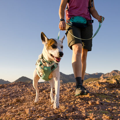 Ruffwear Hi &amp; Light Leash, Hundeleine - Woofshack