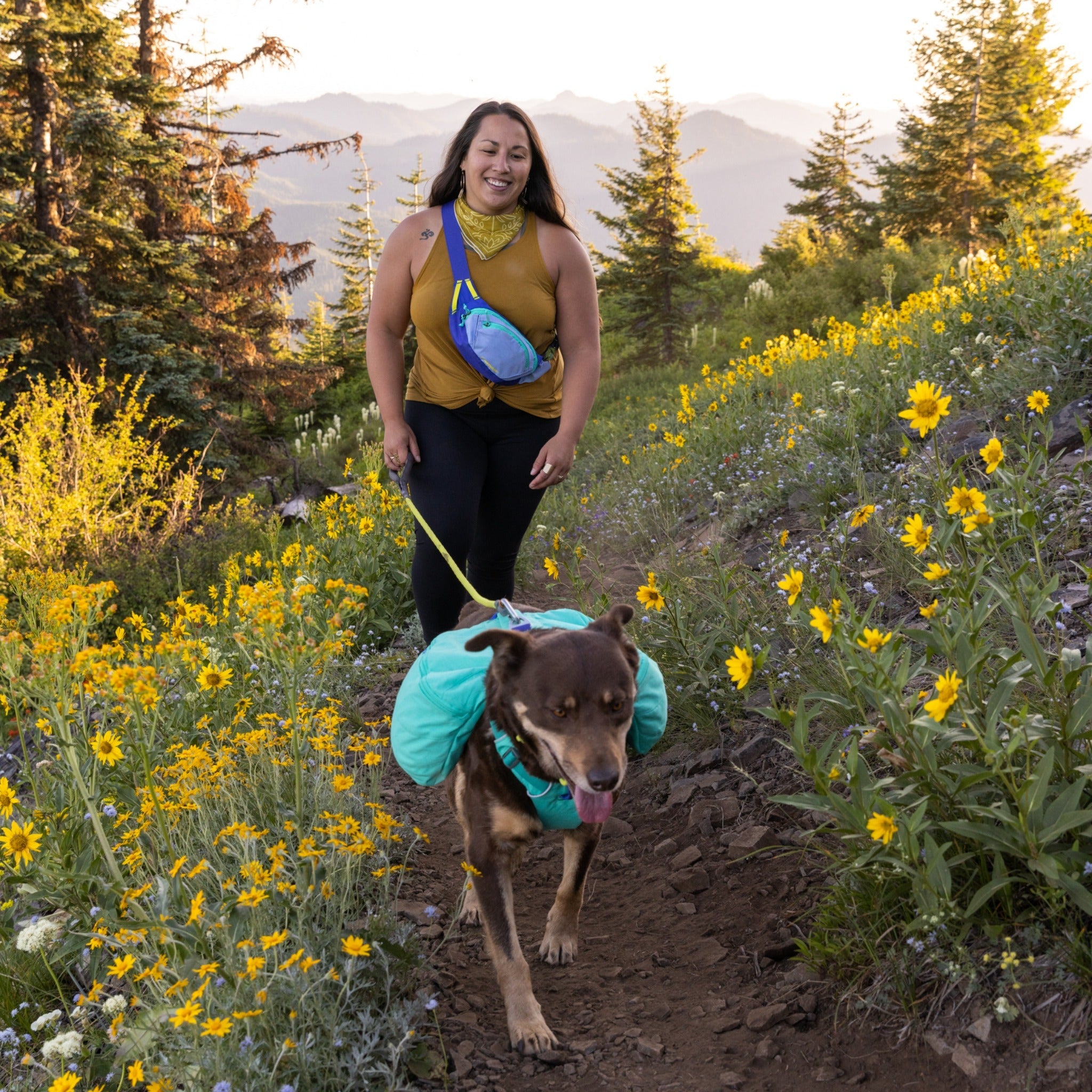 Ruffwear Home Trail Hip Pack, Hüfttasche - Woofshack