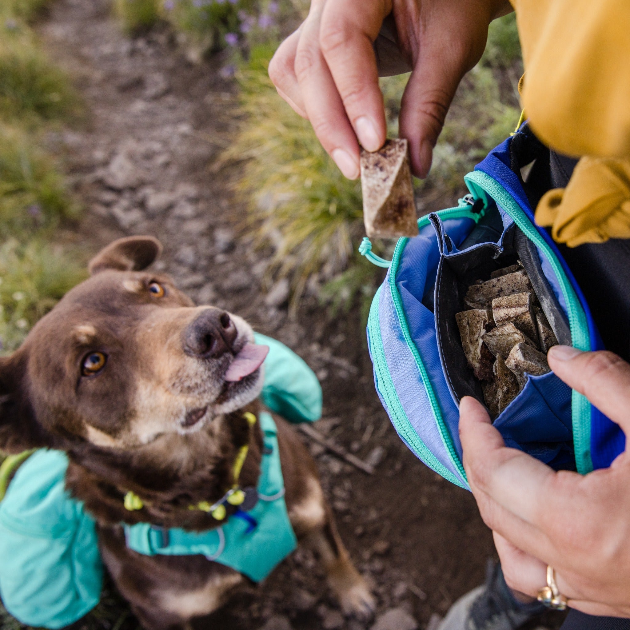 Ruffwear Home Trail Hip Pack, Hüfttasche - Woofshack