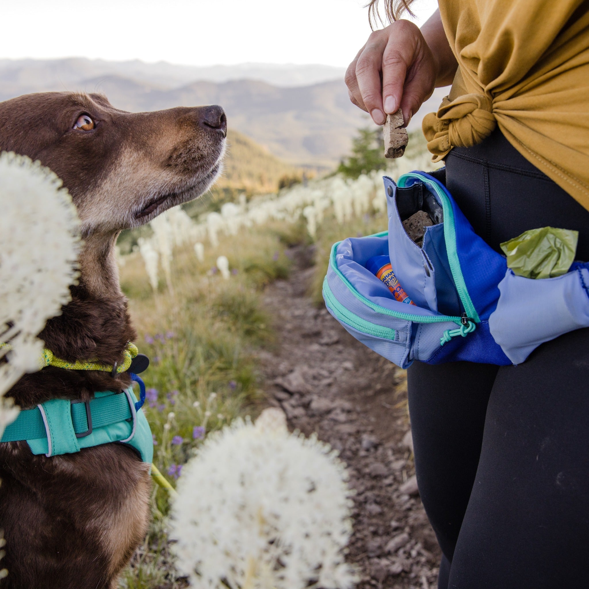 Ruffwear Home Trail Hip Pack, Hüfttasche - Woofshack