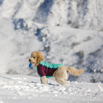 Ruffwear Huck-a-Cone, Hundespielzeug - Woofshack