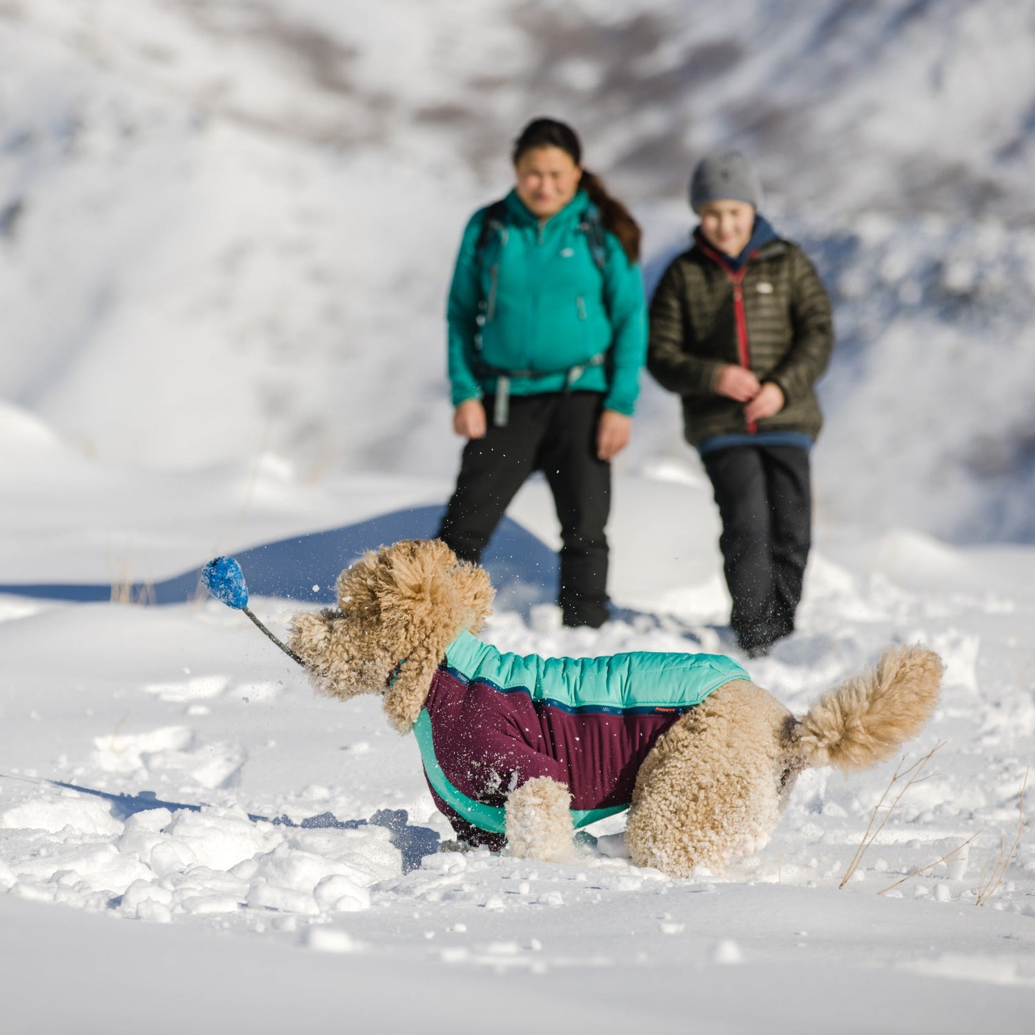 Ruffwear Huck-a-Cone, Hundespielzeug - Woofshack