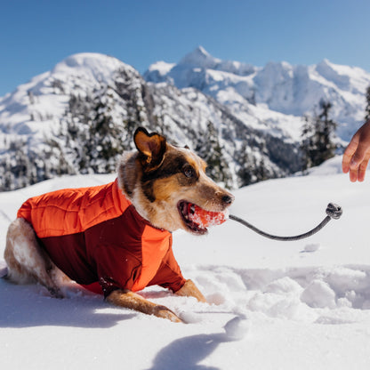 Ruffwear Huck-a-Cone, Hundespielzeug - Woofshack