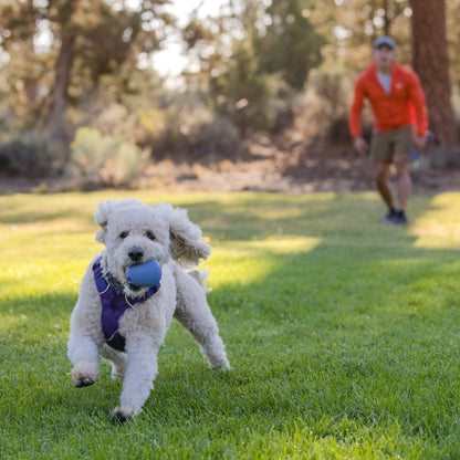 Ruffwear Huckama, Hundespielzeug - Woofshack