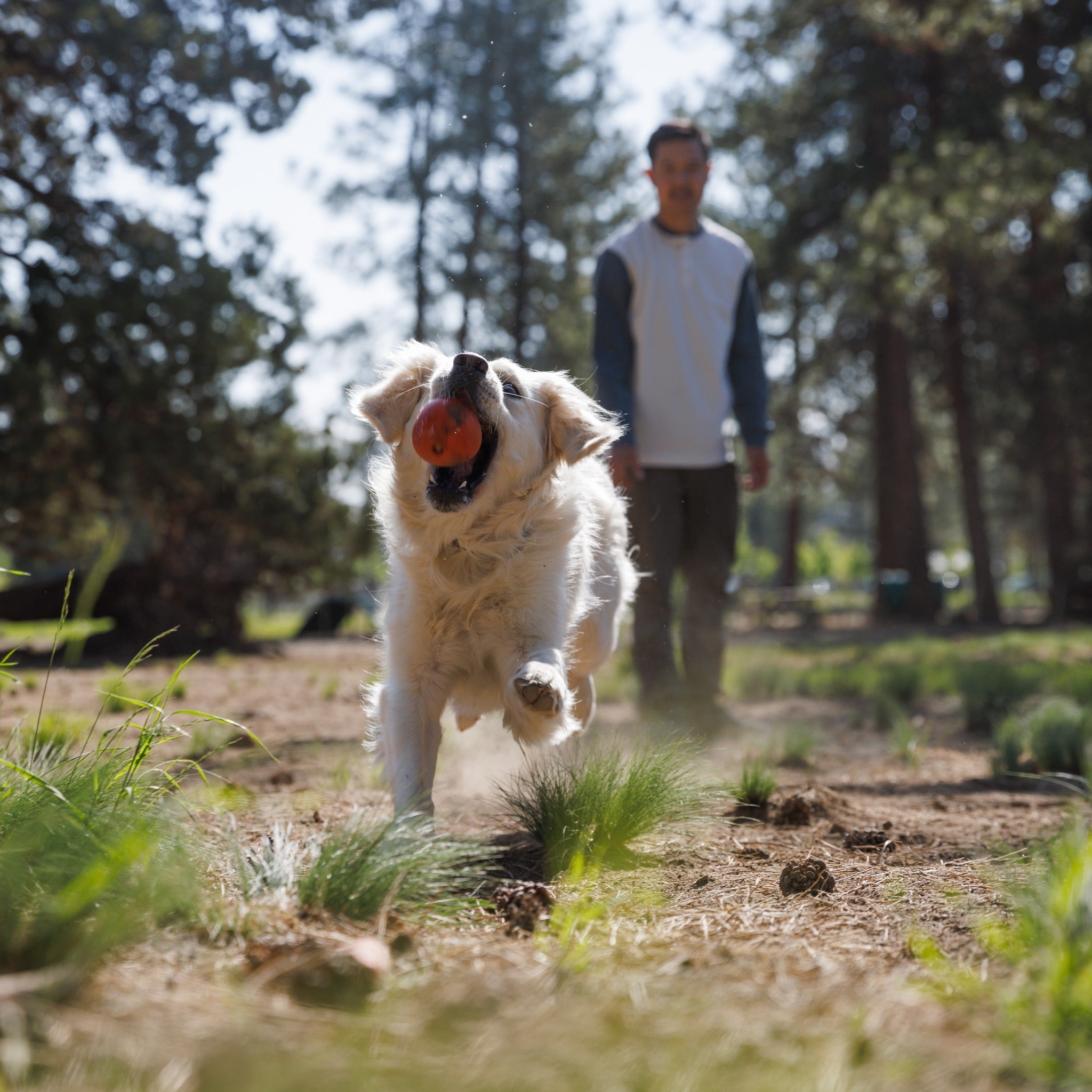 Ruffwear Huckama, Hundespielzeug - Woofshack