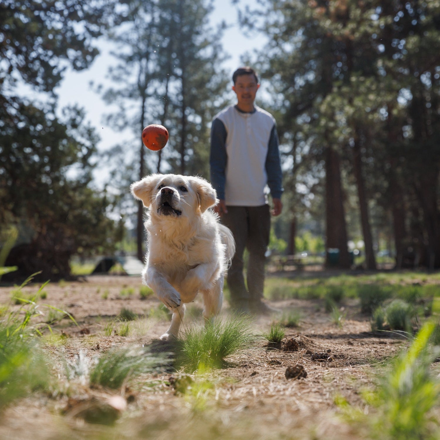 Ruffwear Huckama, Hundespielzeug - Woofshack