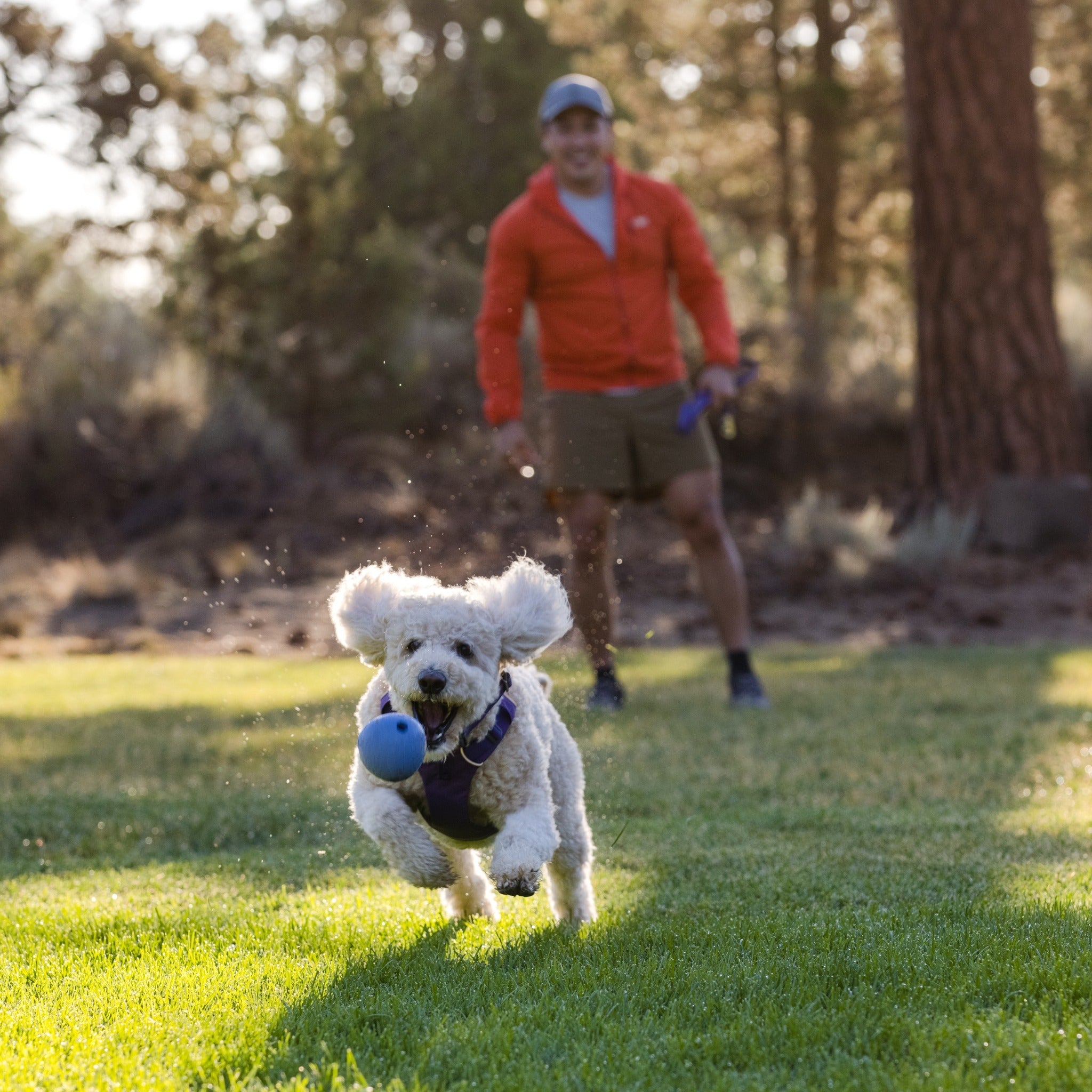 Ruffwear Huckama, Hundespielzeug - Woofshack