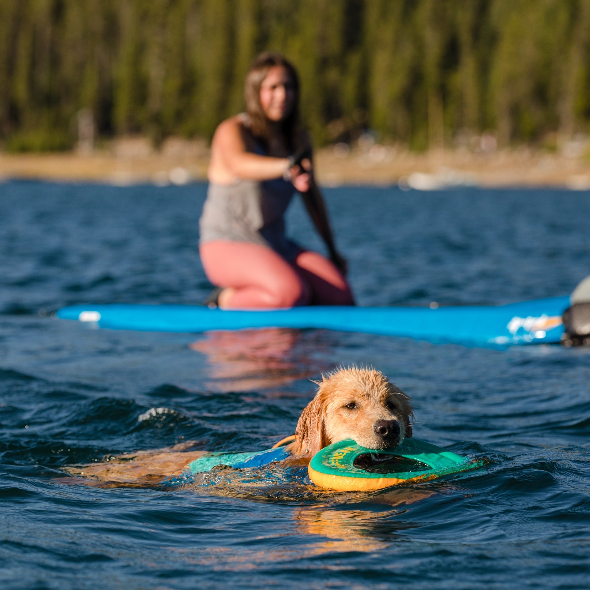 Ruffwear Hydro Plane™ Wasserspielzeug für Hunde - Woofshack