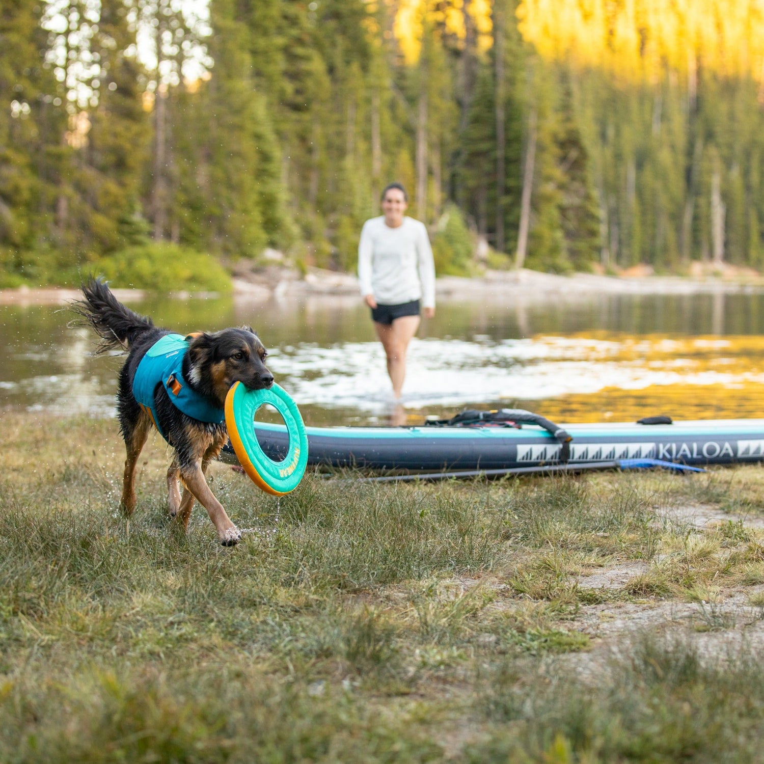 Ruffwear Hydro Plane™ Wasserspielzeug für Hunde - Woofshack