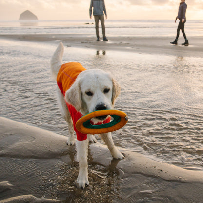 Ruffwear Hydro Plane™ Wasserspielzeug für Hunde - Woofshack