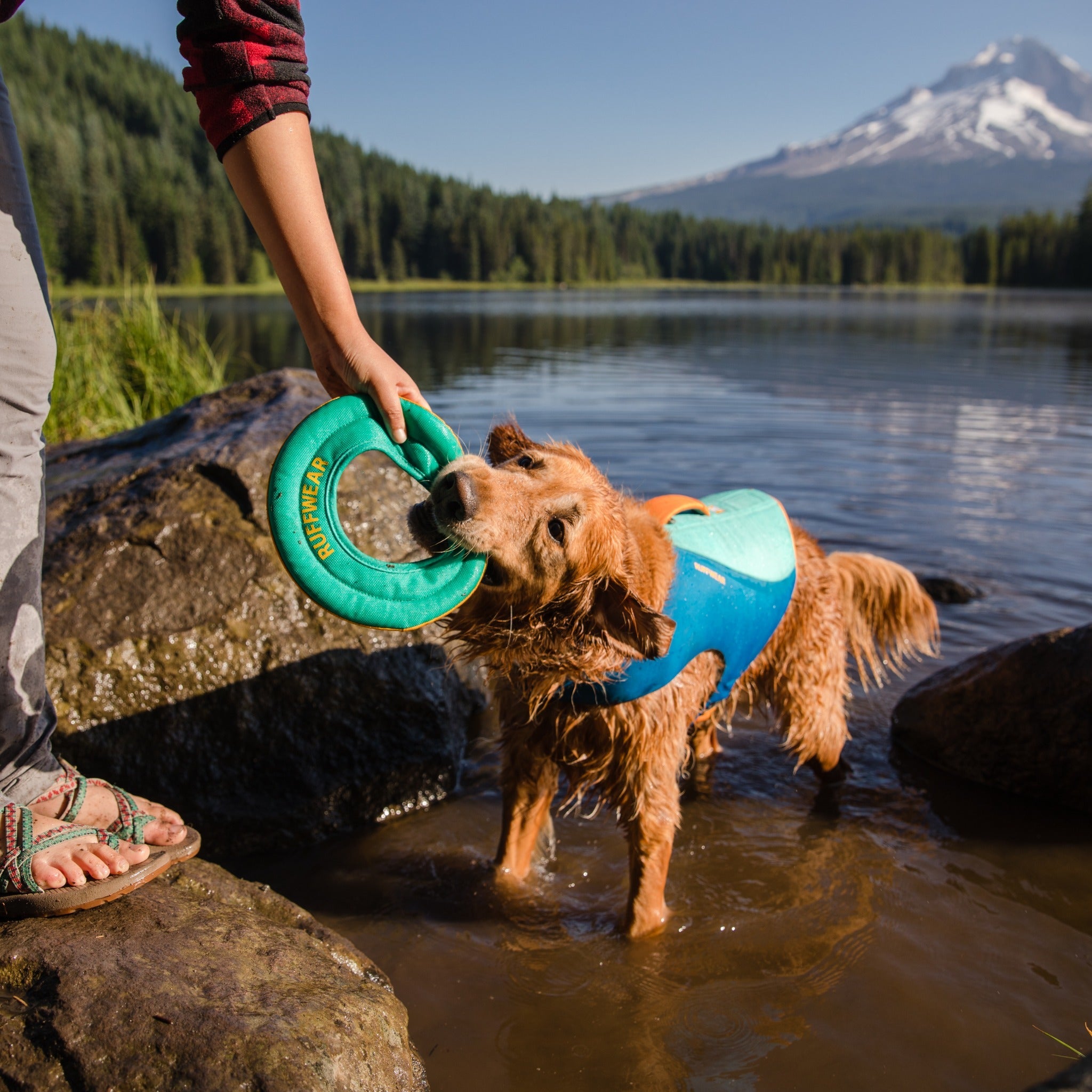 Ruffwear Hydro Plane™ Wasserspielzeug für Hunde - Woofshack