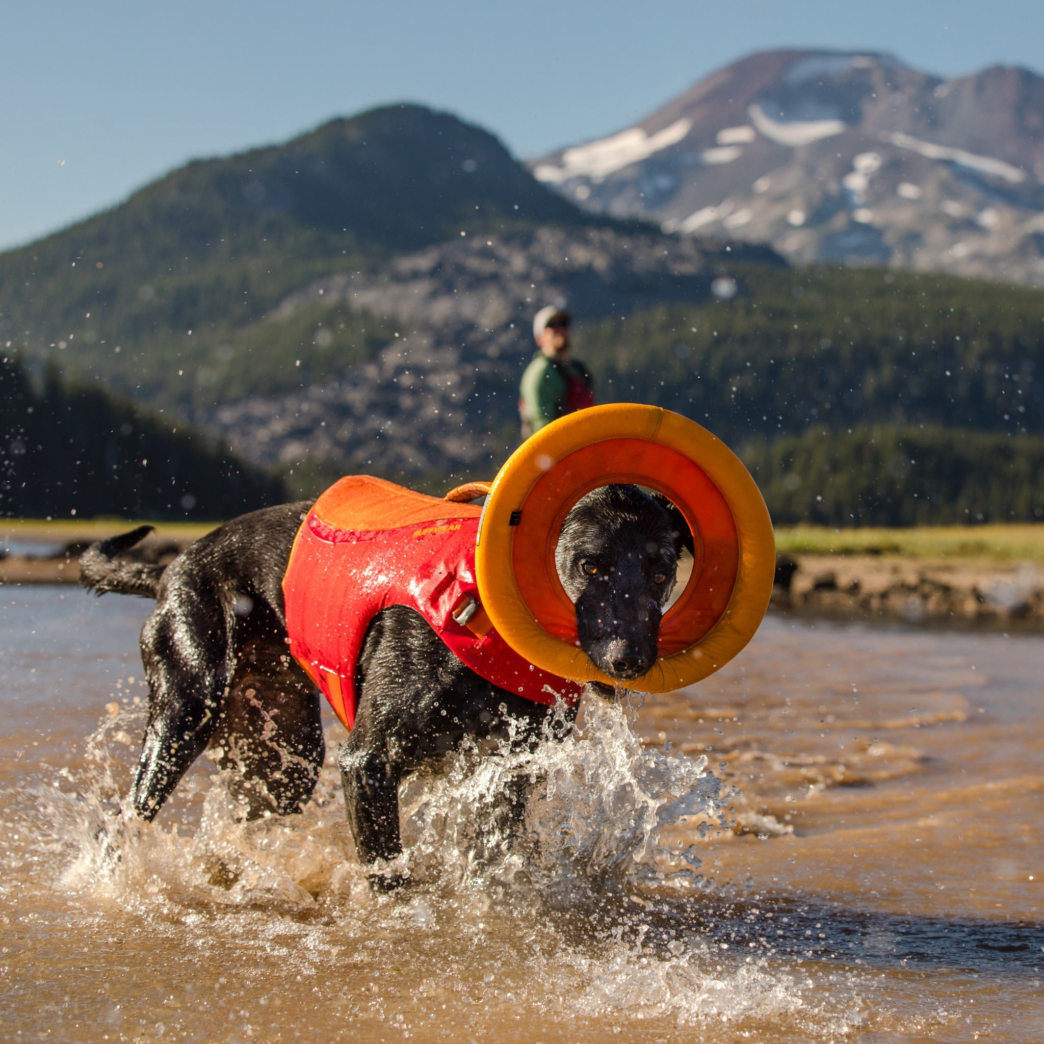 Ruffwear Hydro Plane™ Wasserspielzeug für Hunde - Woofshack