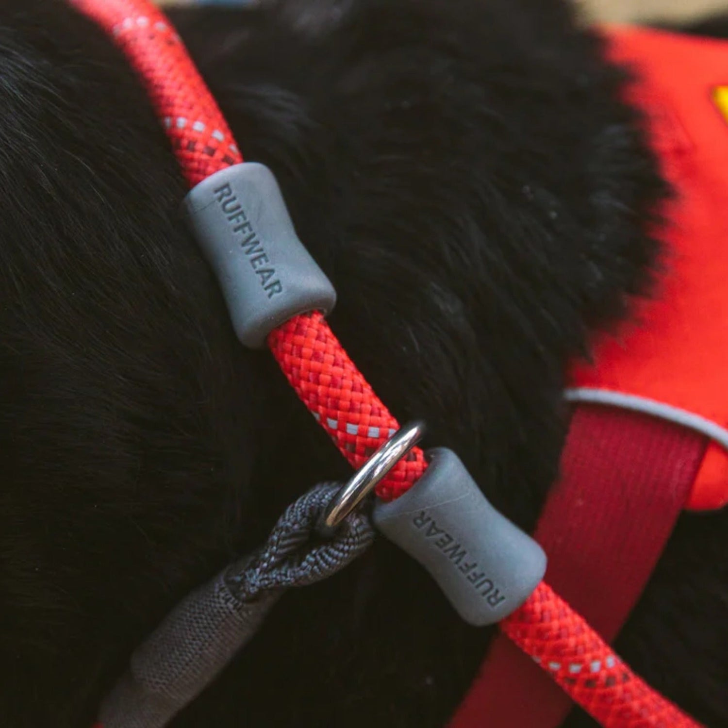 Ruffwear Just-a-Cinch, Hundeleine - Woofshack