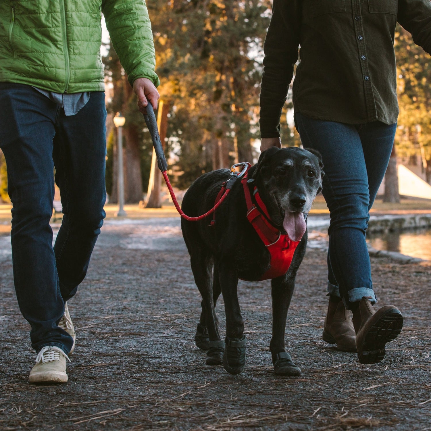 Ruffwear Knot-a-Long™ kurze Hundeleine - Woofshack