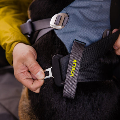 Ruffwear Load Up™ Harness, Autogeschirr für Hunde - Woofshack