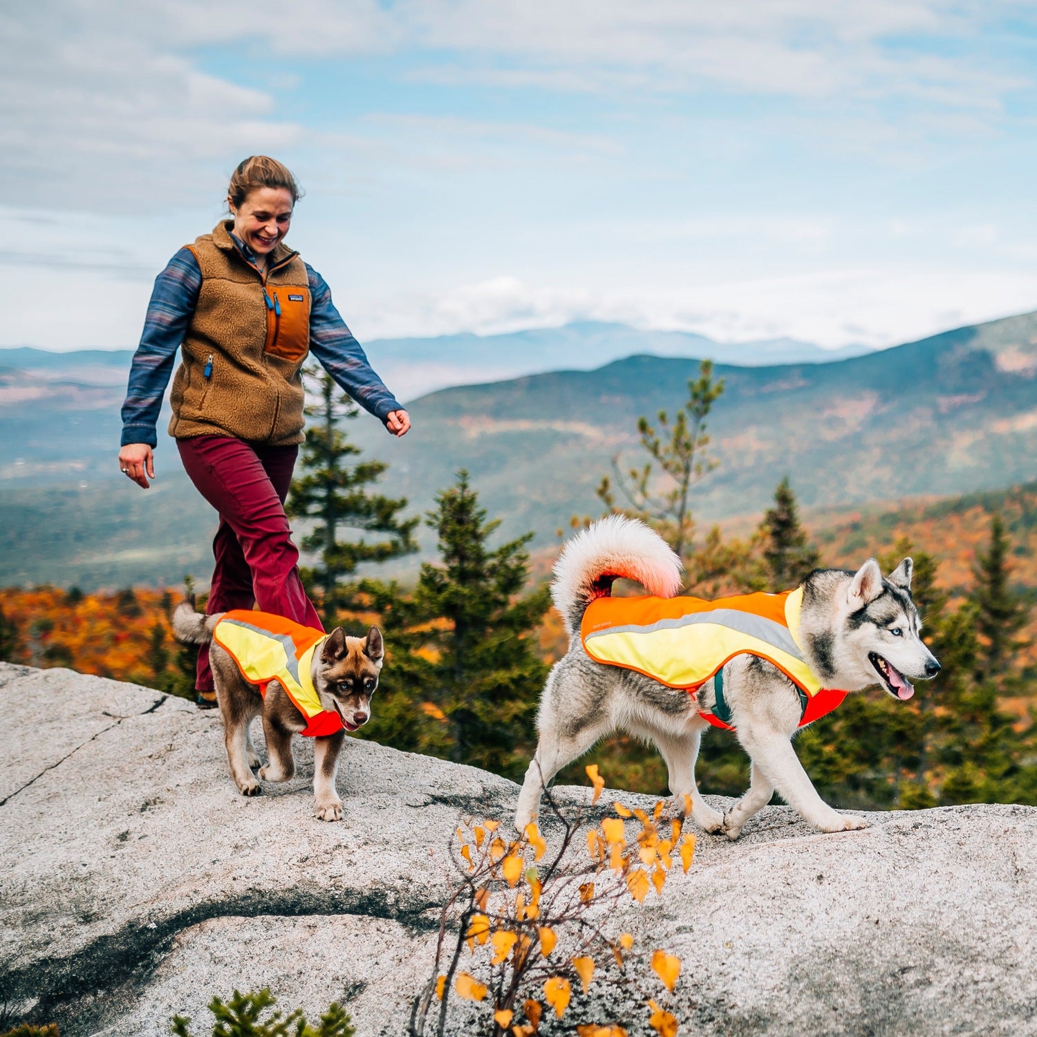 Ruffwear Lumenglow High-Vis Dog Safety Jacket