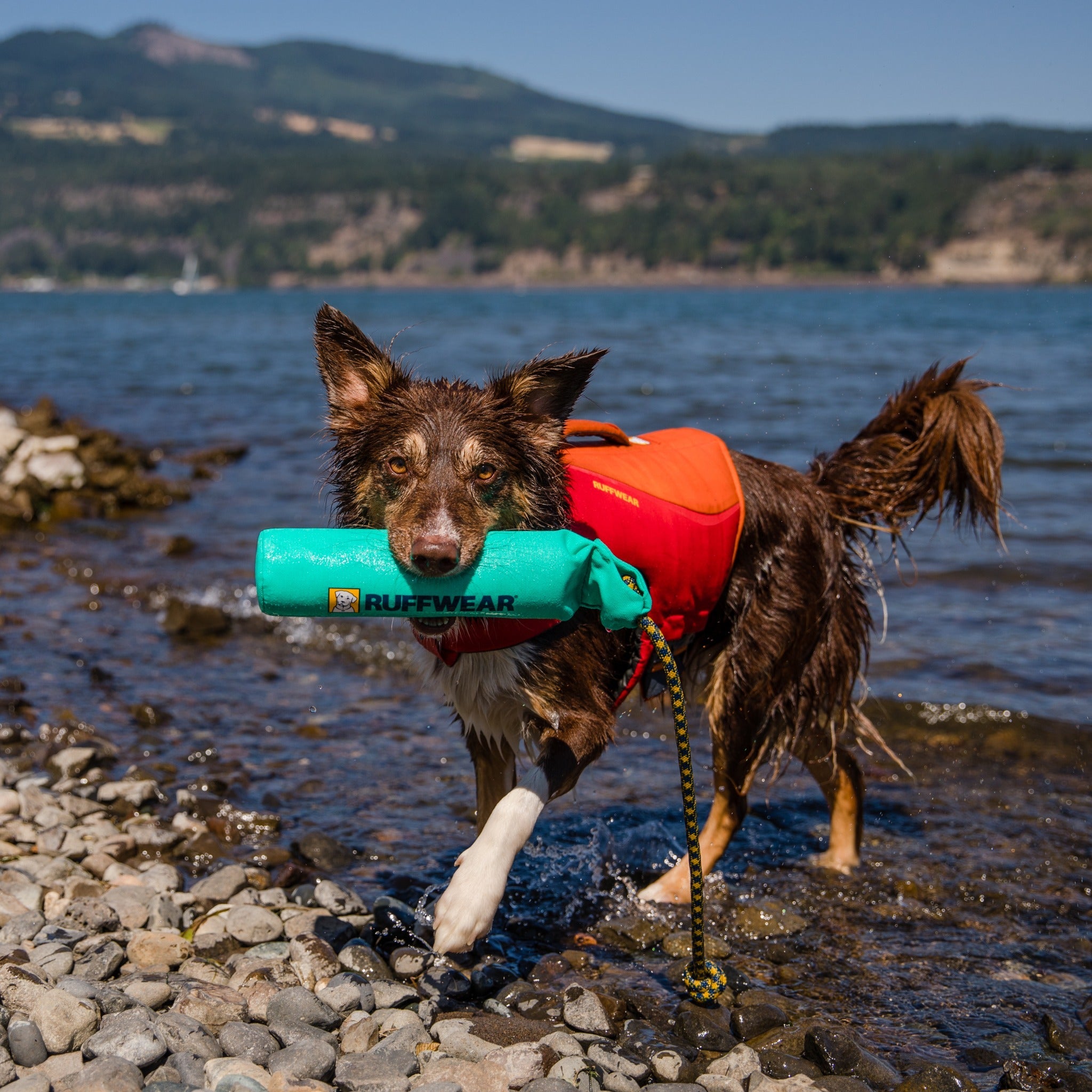 Ruffwear Lunker™ Hundespielzeug schwimmfähig - Woofshack