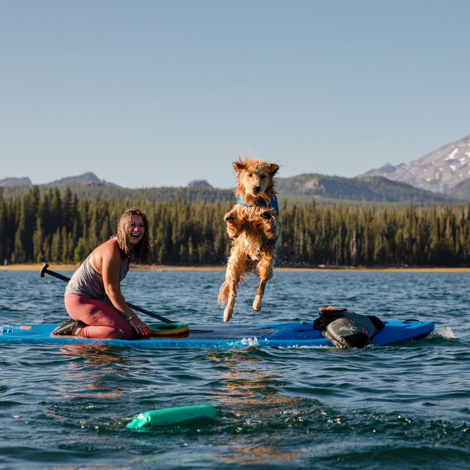 Ruffwear Lunker™ Hundespielzeug schwimmfähig - Woofshack