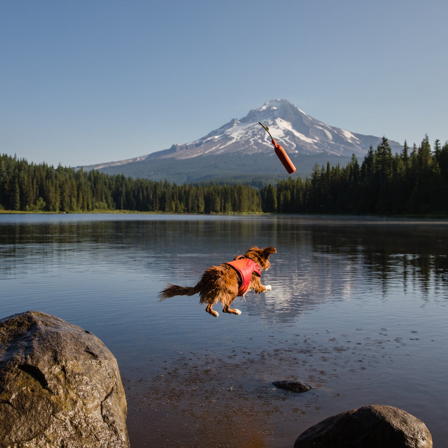 Ruffwear Lunker™ Hundespielzeug schwimmfähig - Woofshack